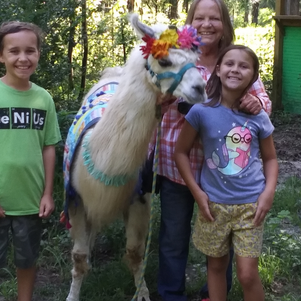 Earth sustainability used instead of new has Impact 🌎on our world